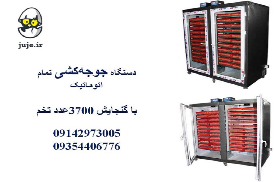 ماشین جوجه درآوری 3700 تایی مقاوم، دقیق،بدون پرت انرژی عکس شماره 1