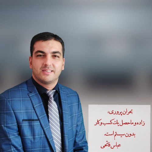 مشاور تخصصی سیستم سازی کسب وکار عکس شماره 5