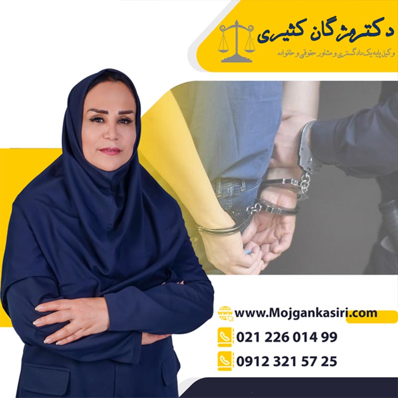 بهترین وکیل پایه یک دادگستری تهران و ایران عکس شماره 4