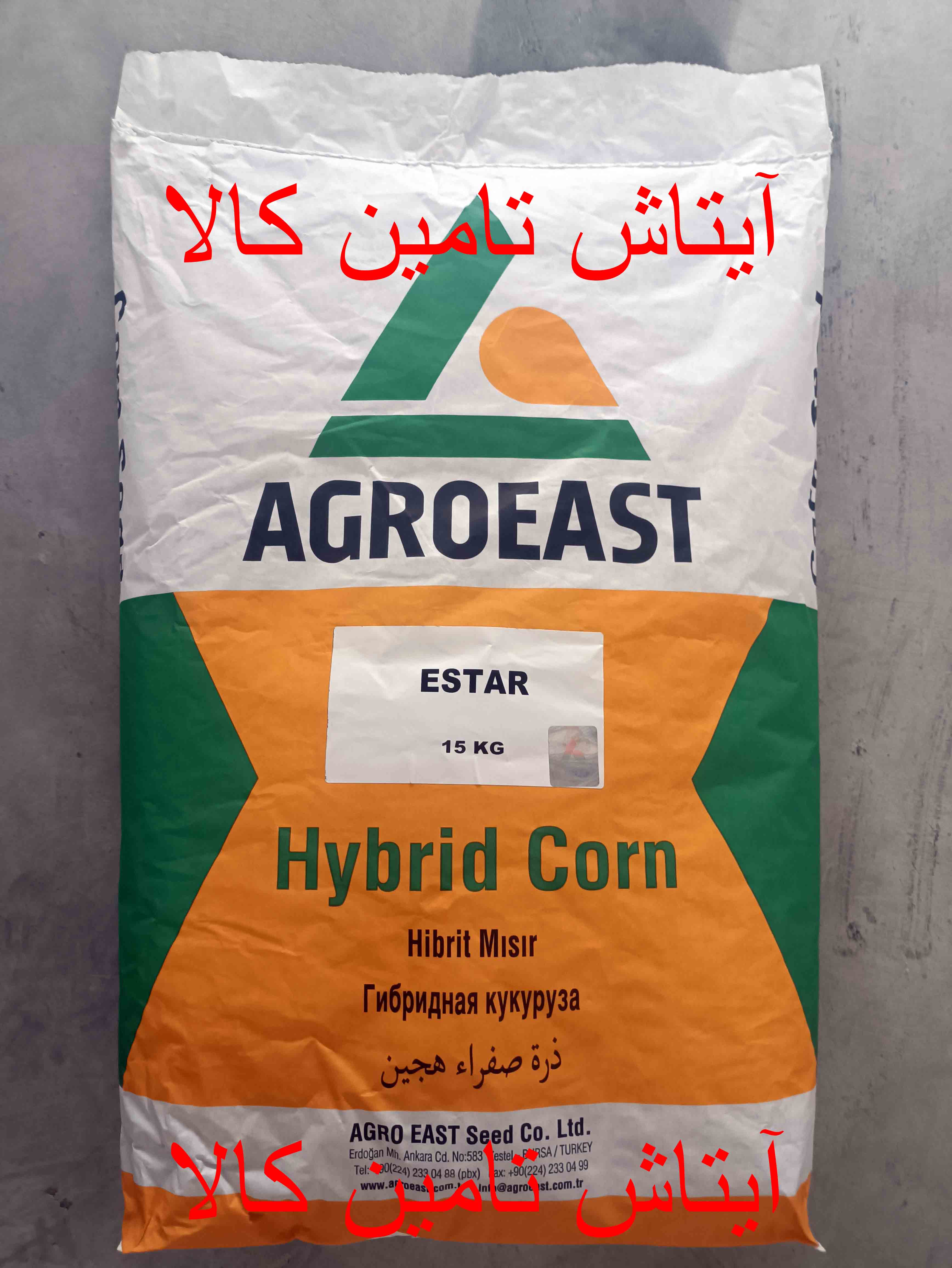 بذر ذرت شیرین آلتین altin و بذر ذرت دو منظوره دانه ای و علوفه ای رقم ای استار estar عکس شماره 3