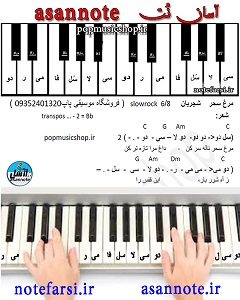پکیج نتهای فارسی ارگ عکس شماره 3