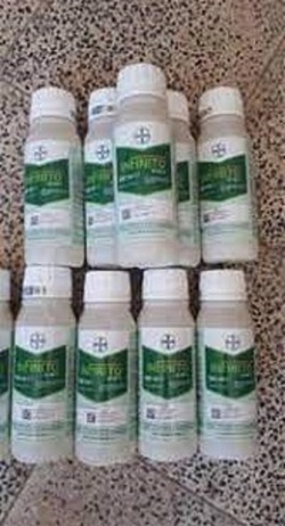 فروش قارچ کش اینفنتیو عکس شماره 2