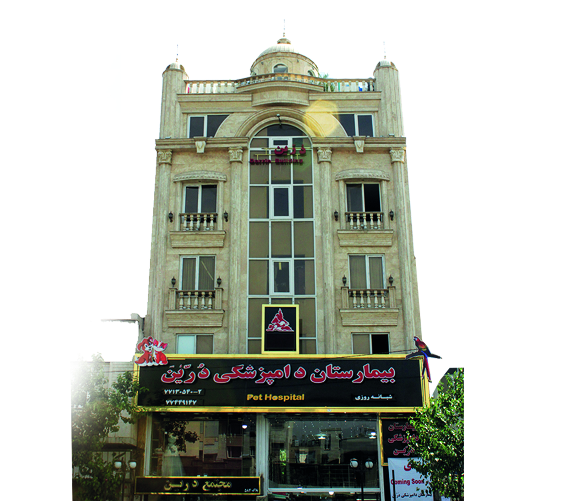 آزمایشگاه حیوانات خانگی بیمارستان دامپزشکی درین