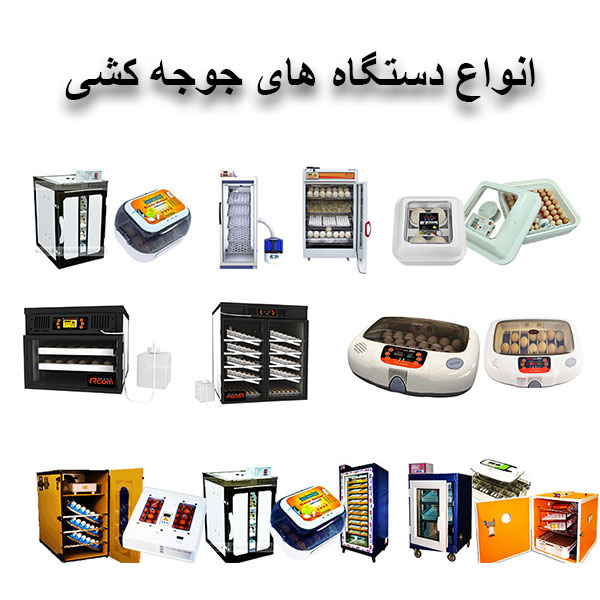 فروش دستگاه جوجه کشی و پرکن و تخم نطفه دار