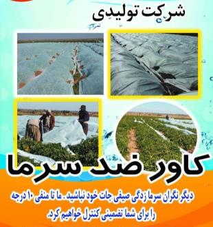 فوم ضد یخ زدگی