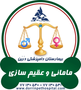 عقیم سازی و مامائی حیوانات خانگی بیمارستان دامپزشکی درین 