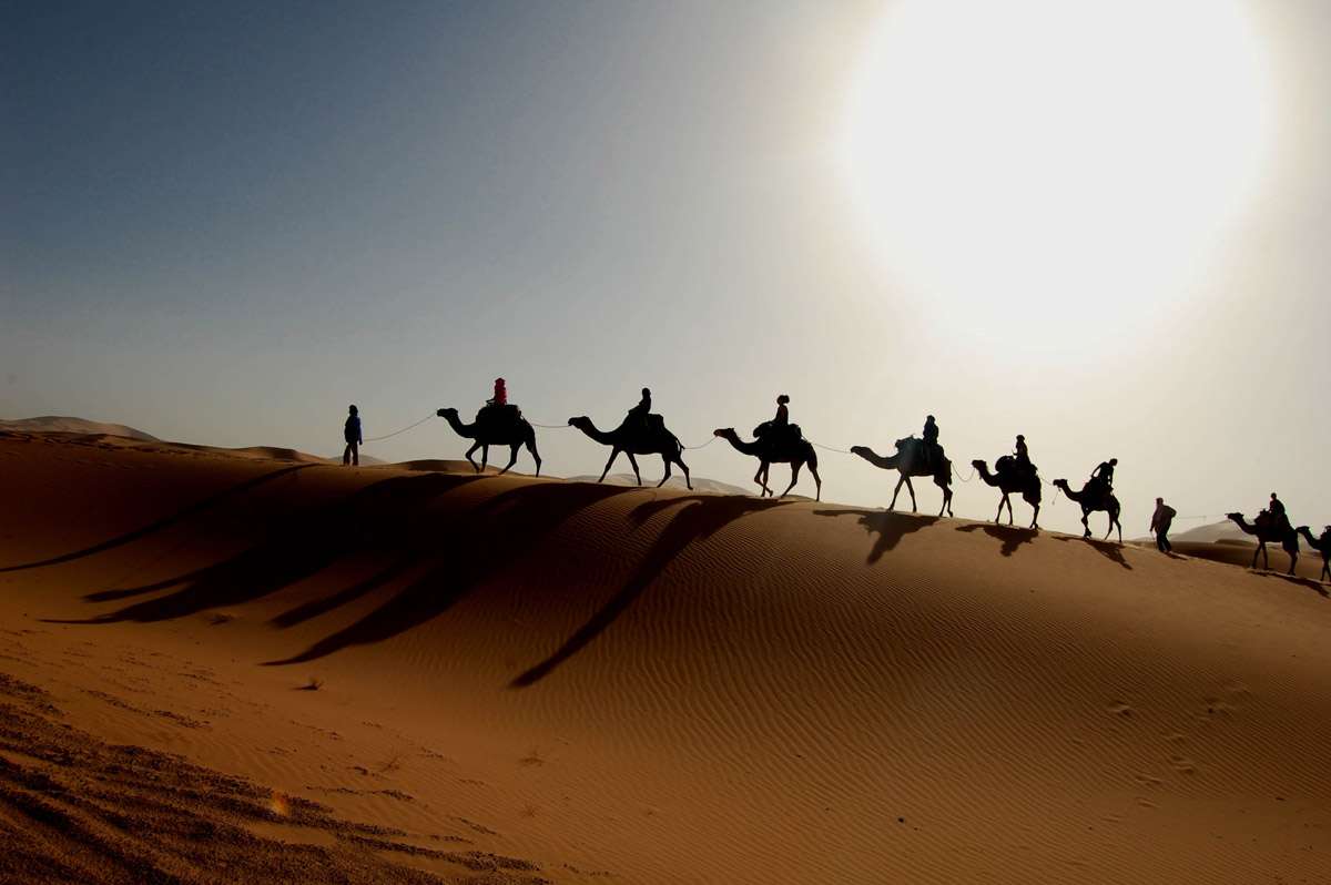 تور ۲ونیم روزه کویر مصر با ۳۵% تخفیف!