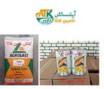 بذر ذرت شیرین آلتین altin و بذر ذرت دو منظوره دانه ای و علوفه ای رقم ای استار estar