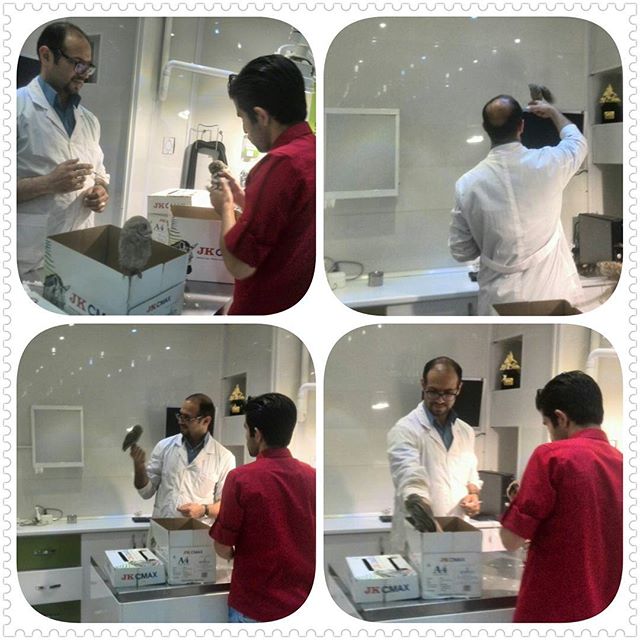 میکروچیپ وگواهی خروج از کشورحیوانات خانگی بیمارستان دامپزشکی درین