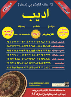 کارخانه قالیشویی ادیب