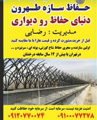 حفاظ شاخ گوزنی ، حفاظ دیوار ، حفاظ روی دیوار 