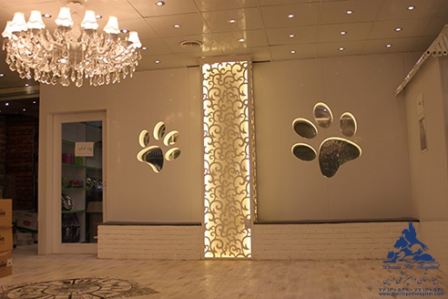 کافی شاپ بیمارستان دامپزشکی درین