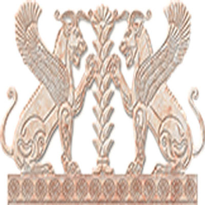 مانتو ابریشم طبیعی دست دوز بپوشید!