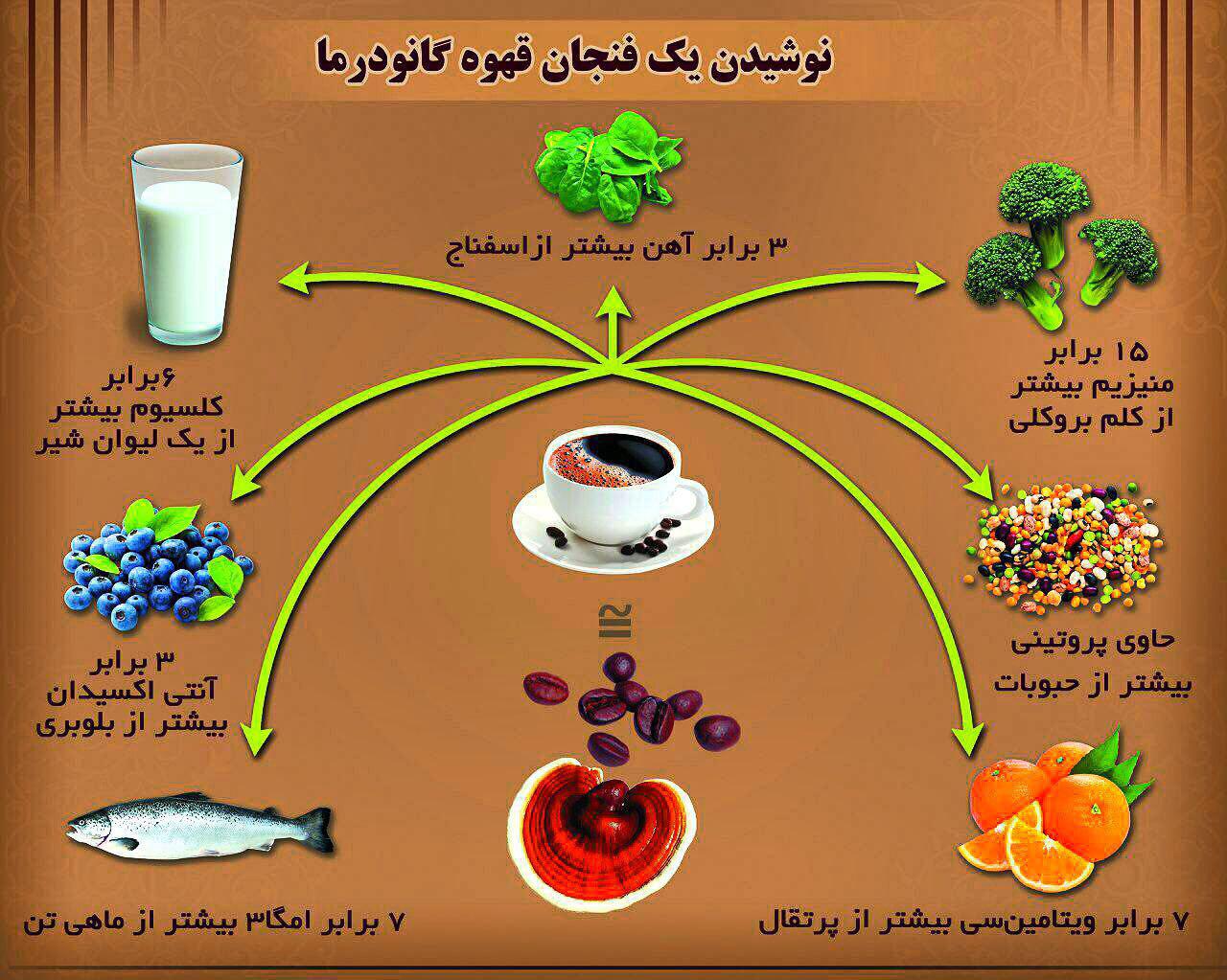 قارچ و قهوه گانودرما
