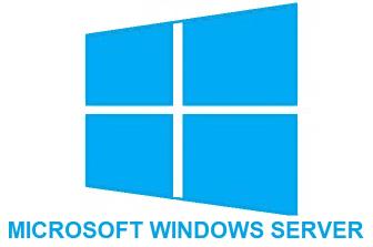 Windows Server 2022,2019,2016,...