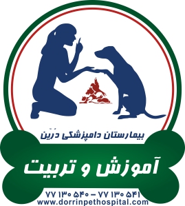آموزش و تربیت حیوانات خانگی درین